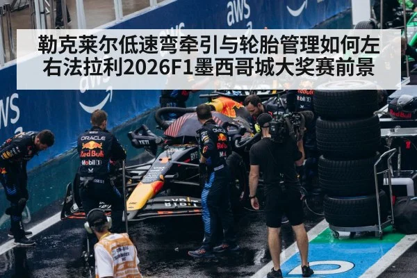 Formula 1 tire management pit stop